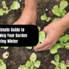 The Ultimate Guide to Maintaining Your Garden During Winter