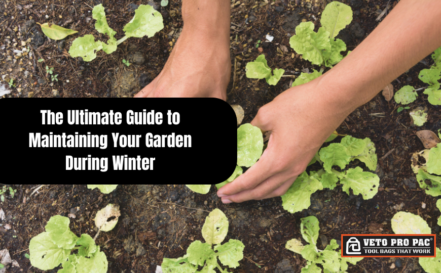 The Ultimate Guide to Maintaining Your Garden During Winter